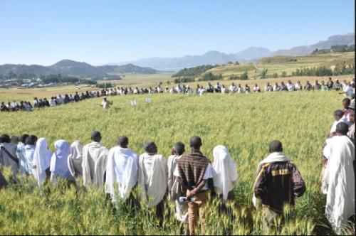 Tigray-Development-agriculture